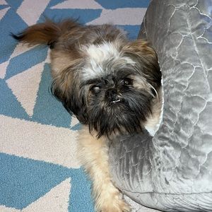 Meet your Posher, Allison